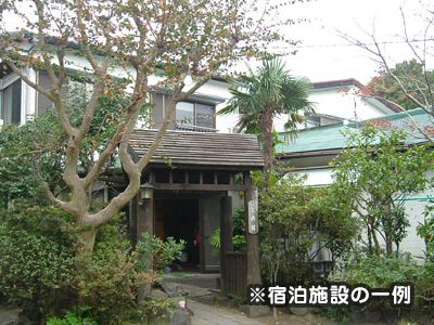 【30周年目特別企画】伊豆大島素泊まりパック