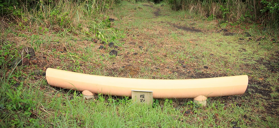 2000年の噴火の際に大量の泥流が神社を飲み込みました。奥には神木があり三宅島のパワースポットです。