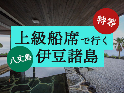 特等船席で行く!リードパークリゾート八丈島
