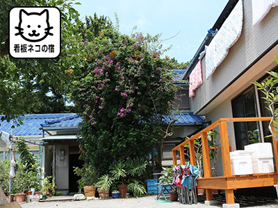 島宿 わたなべ