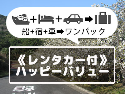 《レンタカー付》伊豆大島ハッピーバリュー