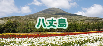 八丈島