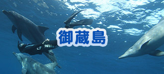 御蔵島