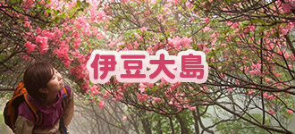 大島
