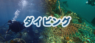 ダイビング