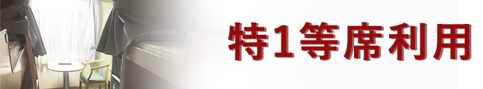 さるびあ丸1等席