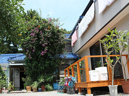 《ひとり旅》島宿 わたなべ