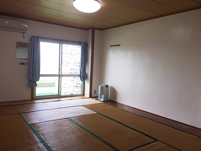 ワイズドリーム