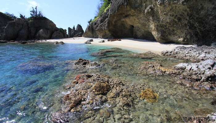  【母島】蓬莱根海岸（ほうらいねかいがん）