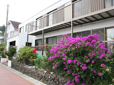 グリーンヴィラ(父島)