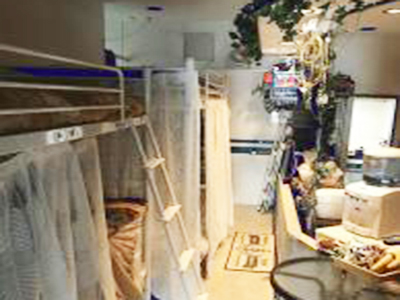 島宿 ISLANDER Cafe(アイランダー カフェ)(父島)