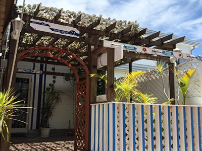 島宿 ISLANDER Cafe(アイランダー カフェ)(父島)
