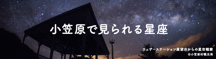 世界自然遺産 小笠原諸島で見られる星座 世界遺産 小笠原諸島ツアー 旅行 父島 母島 トラベルロード