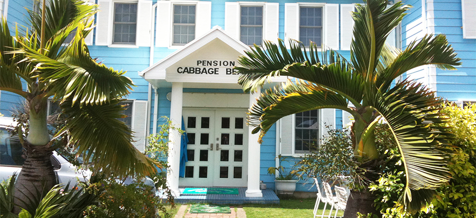 小笠原まるっとツアーin父島4泊 キャベツビーチ