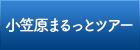 小笠原まるっとツアー