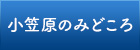 小笠原諸島のみどころ