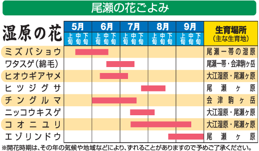 尾瀬のベストシーズンはいつですか 尾瀬ハイキング トレッキングツアー 21 バス 新幹線で行く トラベルロード