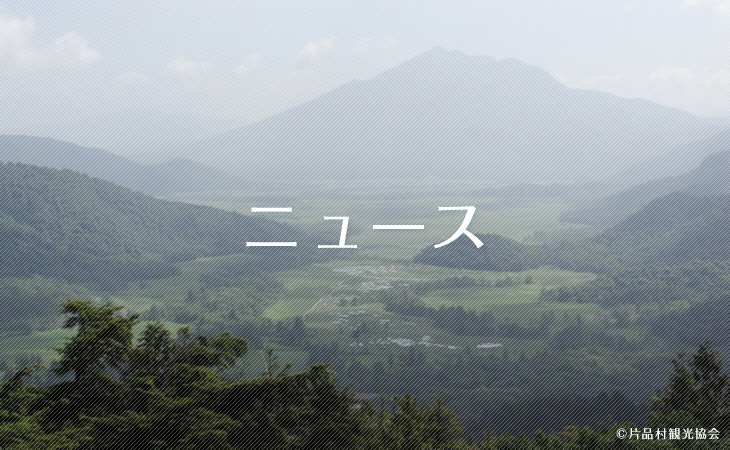 19 5 24更新 ミズバショウの開花時期 尾瀬ハイキング トレッキングツアー 21 バス 新幹線で行く トラベルロード