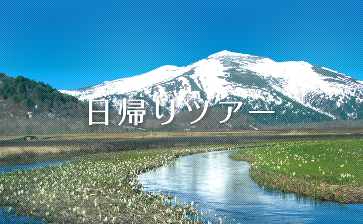 日帰りツアー