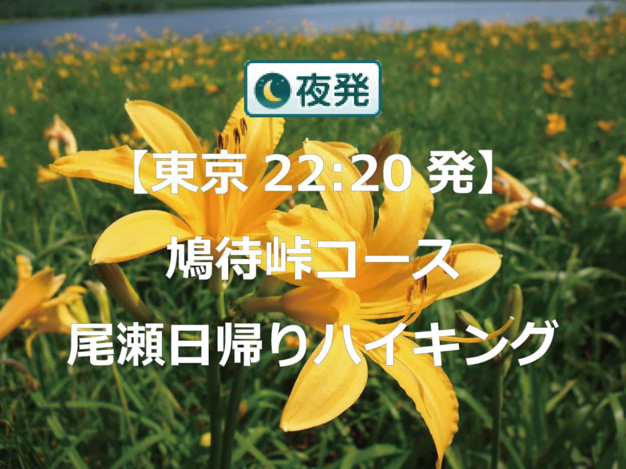 【夜発日帰り】朝一番からたっぷり満喫！遥かなる尾瀬　鳩待峠ハイキング