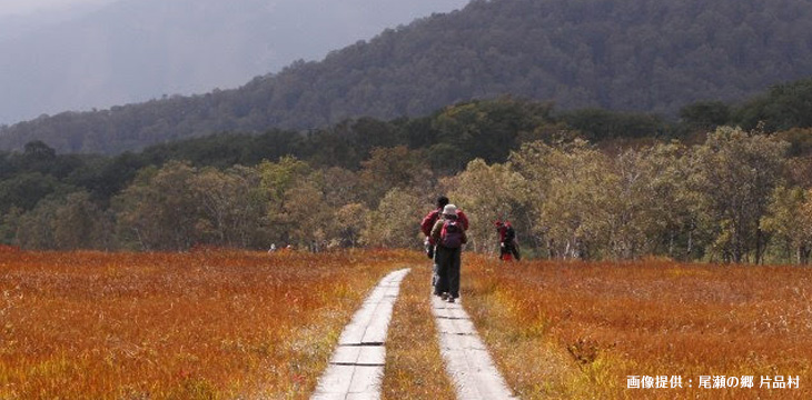 18 尾瀬の草紅葉 黄葉の見ごろ 尾瀬ハイキング トレッキングツアー 21 バス 新幹線で行く トラベルロード