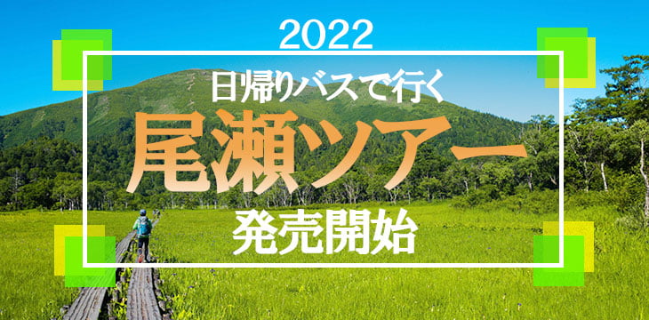 尾瀬ハイキング トレッキングツアー 22 バス 新幹線で行く山小屋宿泊 日帰りツアーはトラベルロード