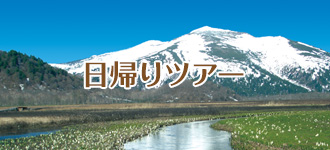 尾瀬のベストシーズンはいつですか 尾瀬ハイキング トレッキングツアー 21 バス 新幹線で行く トラベルロード