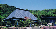 花の木