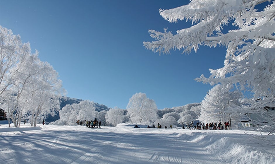 東京から車で3時間 インター近くで 雪質の良い長野県でおすすめのスキー場5選 Tabixia タビシア