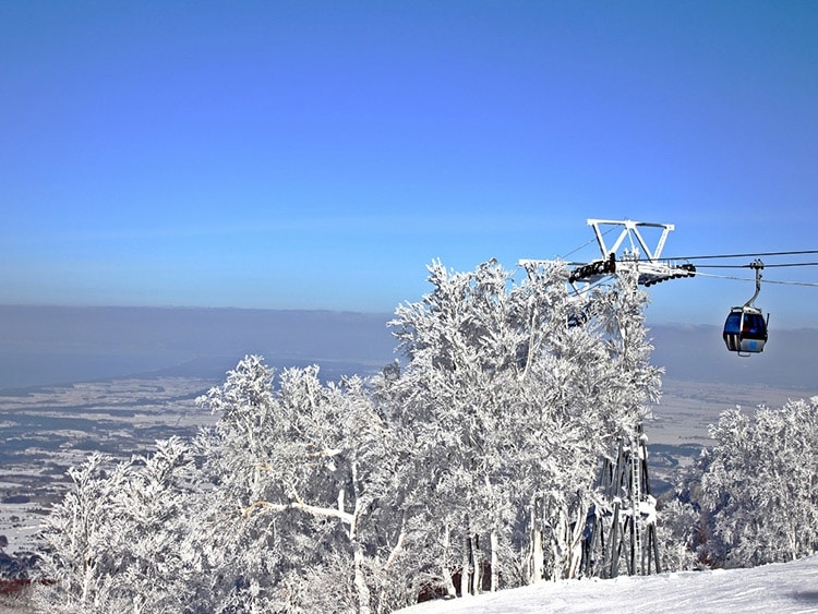 青森スプリングスキーリゾートの格安スキー・スノーボードツアーを探す