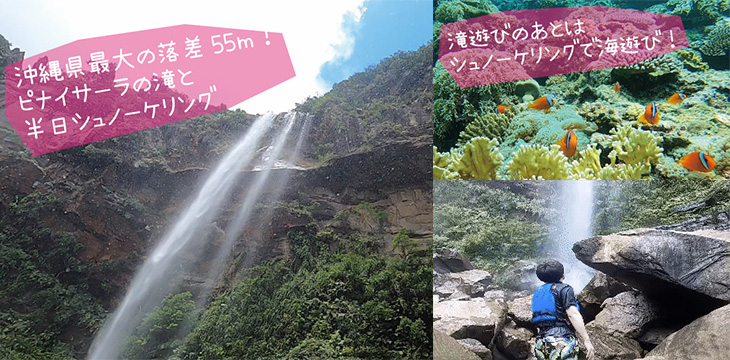 西表島