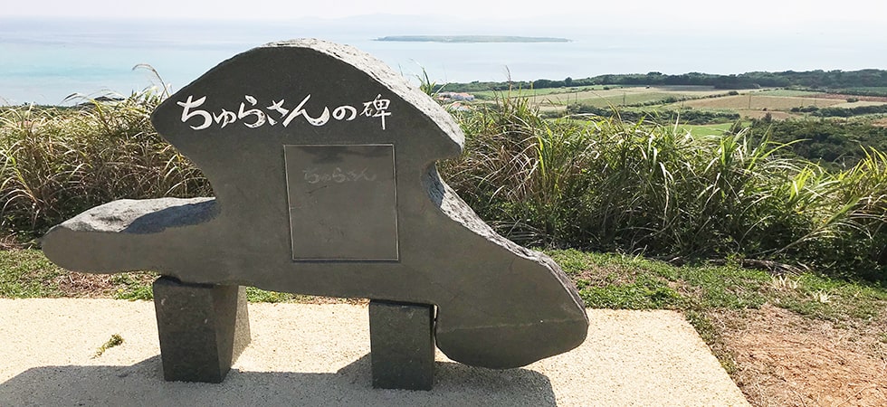 石垣港発着 小浜島 だいく家 3泊プラン