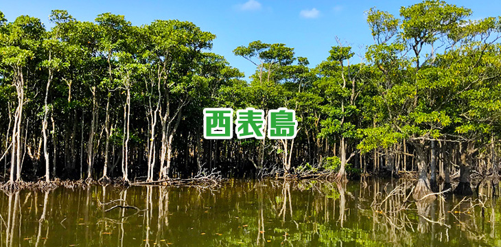 西表島