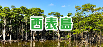 西表島