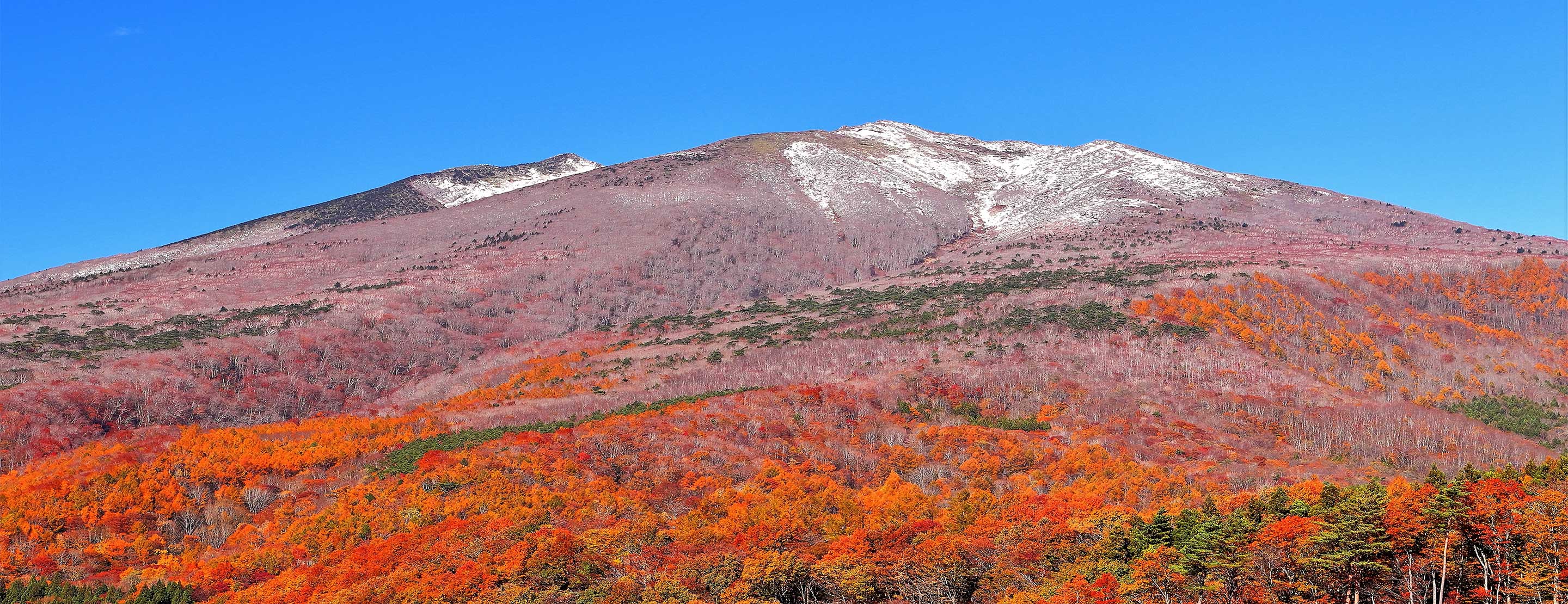 添乗員付ツアーで行く！山を楽しむ山旅・登山ツアーならJTBガイヤレック