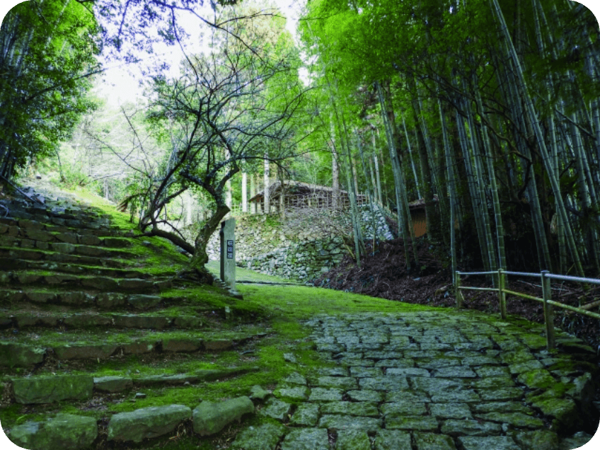 旭岳登頂と十勝岳ジオパーク